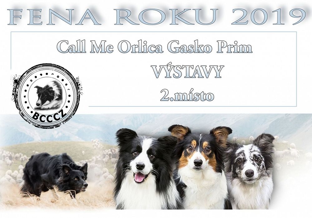 Fena roku 2019