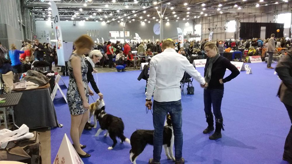 International Dog Show DUO CACIB BRNO