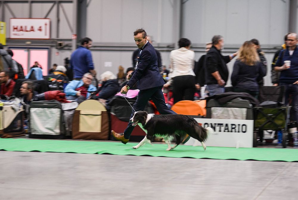 Prague Dog Expo