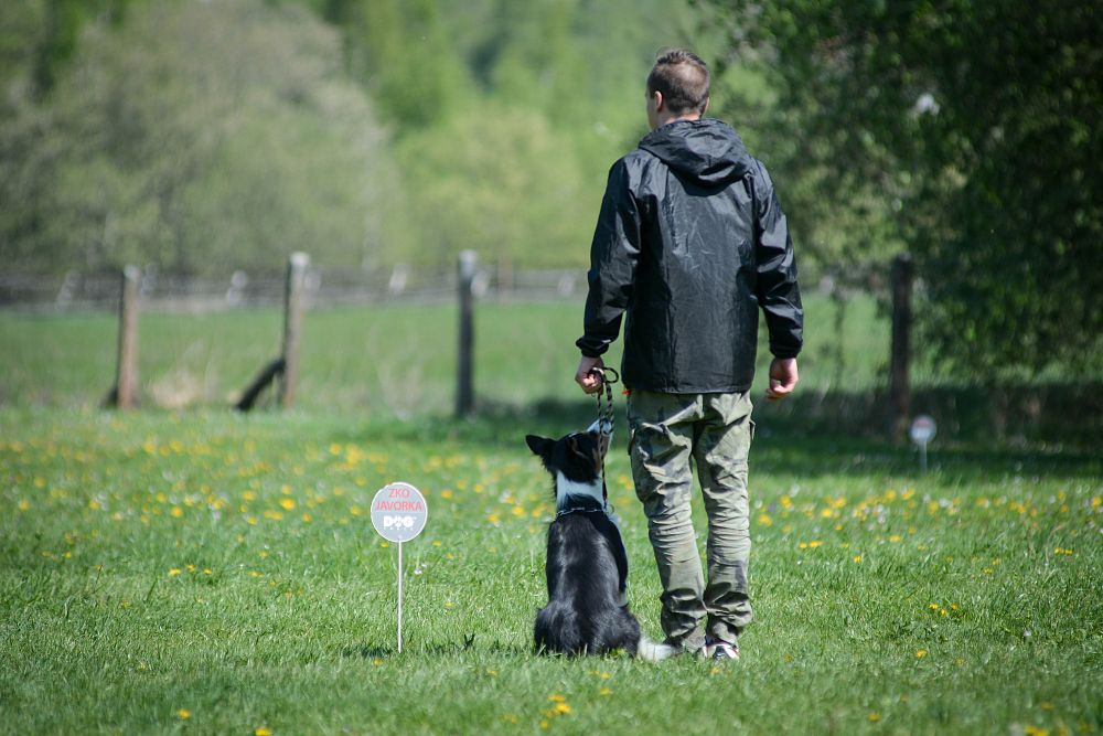 Chessie s Beuš opět v kynologii