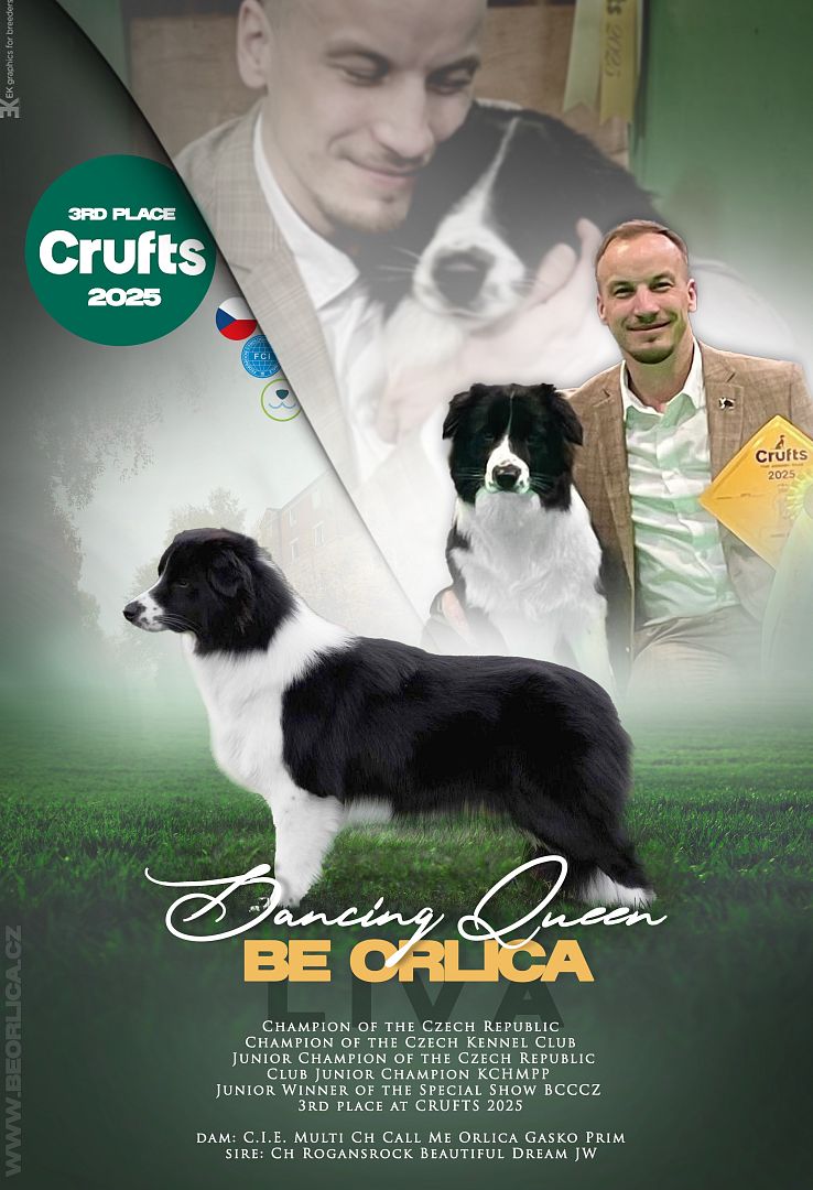 CRUFTS 2025