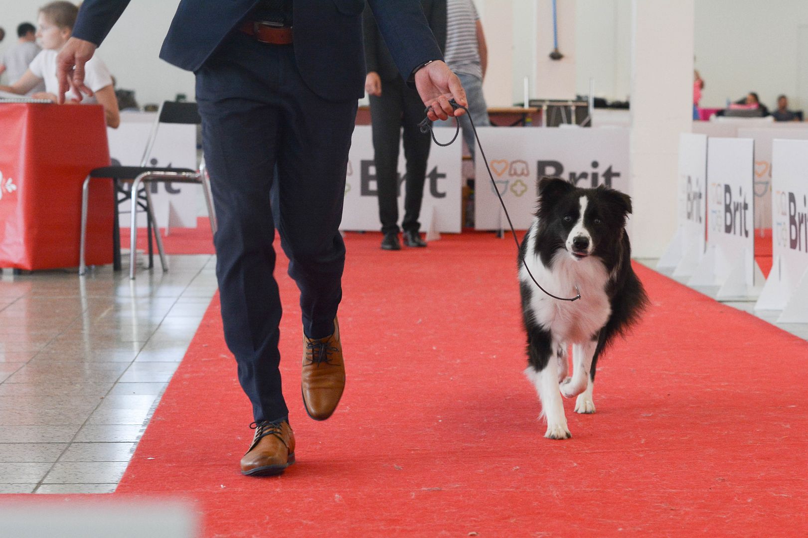 Dog Expo Nitra 2018