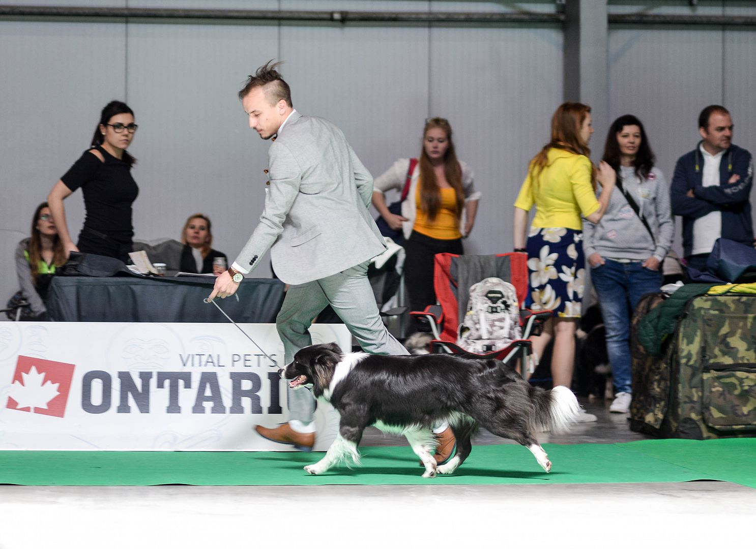 Prague Expo Dog CACIB 2019