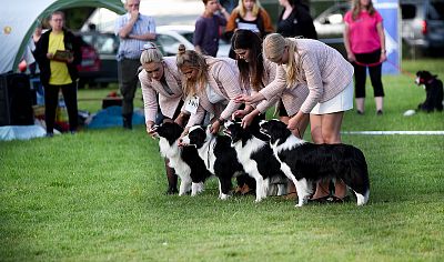 Be Orlica - Tobby, Maggie, Tara, Tally