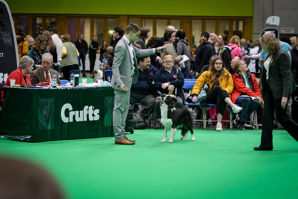 The Kennel Club - Crufts 2019