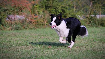 Believe In Maggie Be Orlica